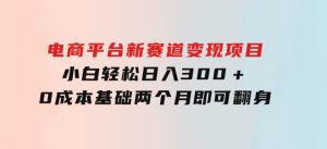 电商平台新赛道变现项目小白轻松日入300＋0成本基础两个月即可翻身-财仔梦想资源网