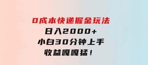 0成本快递掘金玩法，日入2000+，小白30分钟上手，收益嘎嘎猛！-财仔梦想资源网