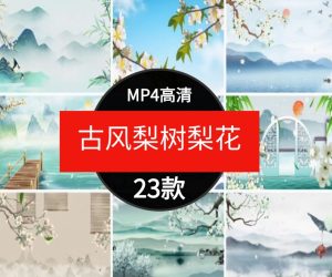 水墨画古风梨树梨花瓣飘落春天唯美中国风LED舞台背景视频素材-财仔梦想资源网