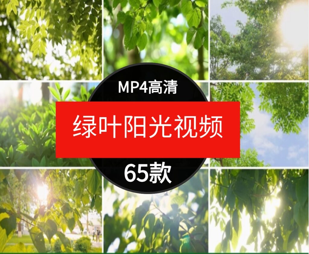 绿色小清新阳光穿透树叶自然美景森林治愈情感背景短片4K视频素材-财仔梦想资源网