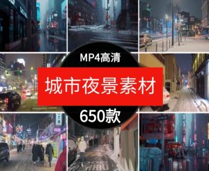 城市夜景街道人流走拍车流马路雪景下雪国外短片情感剪辑视频素材-财仔梦想资源网