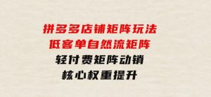 拼多多店铺矩阵玩法：低客单自然流矩阵/轻付费矩阵动销/核心权重提升-财仔梦想资源网