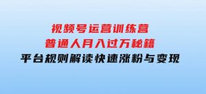 视频号运营训练营：普通人月入过万秘籍，平台规则解读，快速涨粉与变现…-财仔梦想资源网