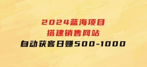 2024蓝海项目，搭建销售网站，自动获客，日赚500-1000-财仔梦想资源网