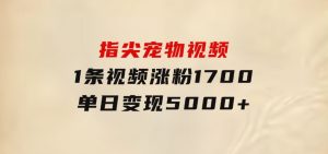 指尖宠物视频，1条视频涨粉1700，单日变现5000+-财仔梦想资源网
