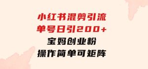 小红书混剪引流，单号日引200+宝妈创业粉，操作简单可矩阵-财仔梦想资源网
