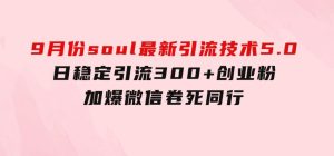 9月份soul最新引流技术5.0，日稳定引流300+创业粉，加爆微信，卷死同行-财仔梦想资源网