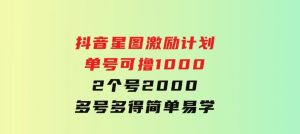抖音星图激励计划单号可撸10002个号2000多号多得简单易学-财仔梦想资源网