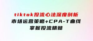 tiktok投流心法深度剖析：市场运营策略+CPA-T曲线，掌握投流精髓-财仔梦想资源网