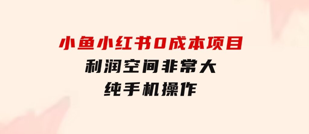 小鱼小红书0成本项目，利润空间非常大，纯手机操作-财仔梦想资源网