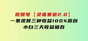 视频号【灵狐赛道2.0】一条视频三种收益100%原创小白三天收益破百-财仔梦想资源网