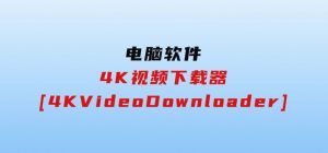 4K视频下载器[4KVideoDownloader]-财仔梦想资源网