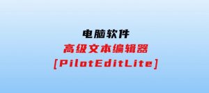 高级文本编辑器[PilotEditLite]-财仔梦想资源网