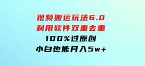视频搬运玩法6.0，利用软件双重去重，100%过原创，小白也能月入5w+-财仔梦想资源网