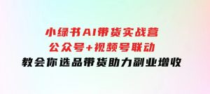 小绿书AI带货实战营：公众号+视频号联动，教会你选品带货，助力副业增收-财仔梦想资源网