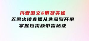 抖音图文&带货实操：无需出镜直播，从选品到开单，掌握短视频带货秘诀-财仔梦想资源网