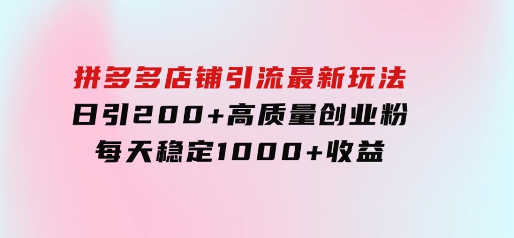 拼多多店铺引流最新玩法，日引200+高质量创业粉，每天稳定1000+收益（-财仔梦想资源网