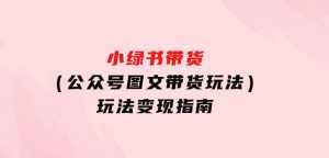 小绿书带货（公众号图文带货玩法）玩法变现指南-财仔梦想资源网