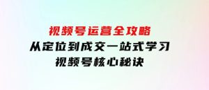视频号运营全攻略，从定位到成交一站式学习，视频号核心秘诀，-财仔梦想资源网