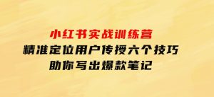小红书实战训练营：精准定位用户，传授六个技巧，助你写出爆款笔记-财仔梦想资源网