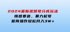 2024最新视频号分成玩法，情感赛道，暴力起号，矩阵操作轻松月入3W+-财仔梦想资源网