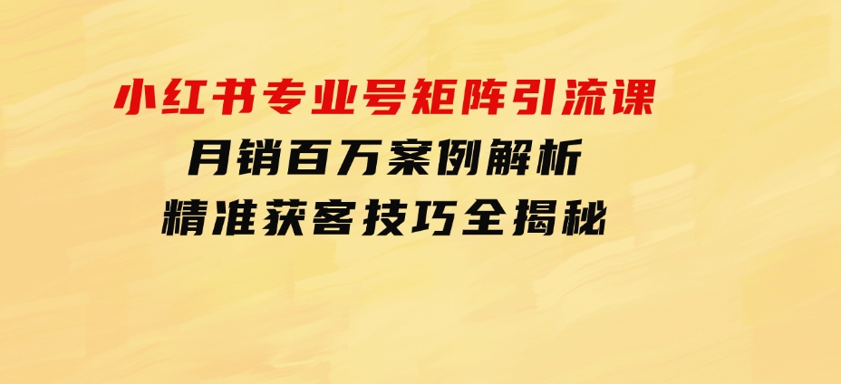 小红书专业号矩阵引流课，月销百万案例解析，精准获客技巧全揭秘-财仔梦想资源网