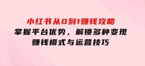 小红书从0到1赚钱攻略：掌握平台优势，解锁多种变现赚钱模式与运营技巧-财仔梦想资源网