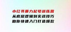 小红书暴力起号训练营，从底层逻辑到实战技巧，助你快速入门打造爆款-财仔梦想资源网