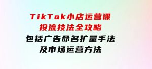 TikTok小店运营课：投流技法全攻略，包括广告命名扩量手法及市场运营方法-财仔梦想资源网