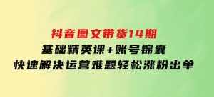 抖音图文带货14期：基础精英课+账号锦囊，快速解决运营难题轻松涨粉出单-财仔梦想资源网