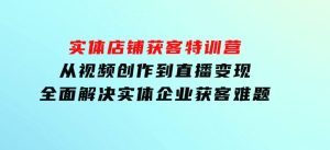 实体店铺获客特训营：从视频创作到直播变现，全面解决实体企业获客难题-财仔梦想资源网
