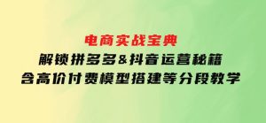 电商实战宝典解锁拼多多&抖音运营秘籍含高价付费模型搭建等分段教学-财仔梦想资源网