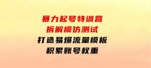 暴力起号特训营：拆解模仿测试，打造易爆流量模板，积累账号权重-财仔梦想资源网