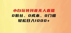 小白玩转抖音无人直播，0粉丝、0成本、0门槛，轻松日入1000+-财仔梦想资源网