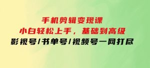 手机剪辑变现课：小白轻松上手，基础到高级影视号/书单号/视频号一网打尽-财仔梦想资源网