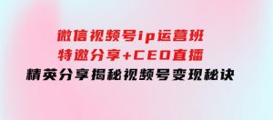 微信视频号ip运营班：特邀分享+CEO直播+精英分享，揭秘视频号变现秘诀-财仔梦想资源网