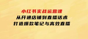 小红书实战运营课：从开通店铺到直播话术，打造爆款笔记与高效直播-财仔梦想资源网