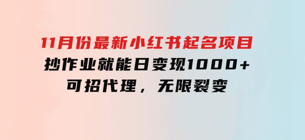 11月份最新小红书起名项目，抄作业就能日变现1000+，可招代理，无限裂变-财仔梦想资源网