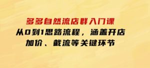 多多自然流店群入门课，从0到1思路流程，涵盖开店、加价、截流等关键环节-财仔梦想资源网
