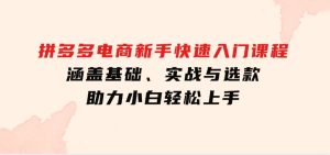 拼多多电商新手快速入门课程：涵盖基础、实战与选款，助力小白轻松上手-财仔梦想资源网