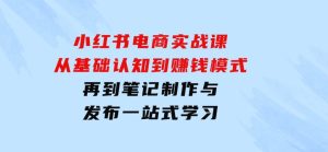 小红书电商实战课，从基础认知到赚钱模式，再到笔记制作与发布一站式学习-财仔梦想资源网