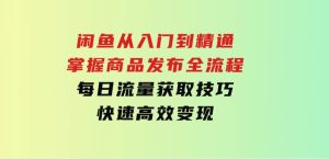 闲鱼从入门到精通：掌握商品发布全流程，每日流量获取技巧，快速高效变现-财仔梦想资源网