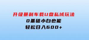 升级暴利车载U盘私域玩法，0基础小白也能轻松日入600+-财仔梦想资源网