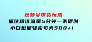 视频号带货玩法，抓住精准流量，5分钟一条原创，小白也能轻松每天500+！-财仔梦想资源网