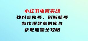 小红书电商实战：找对标账号、拆解账号、制作爆款素材库与获取流量全攻略-财仔梦想资源网