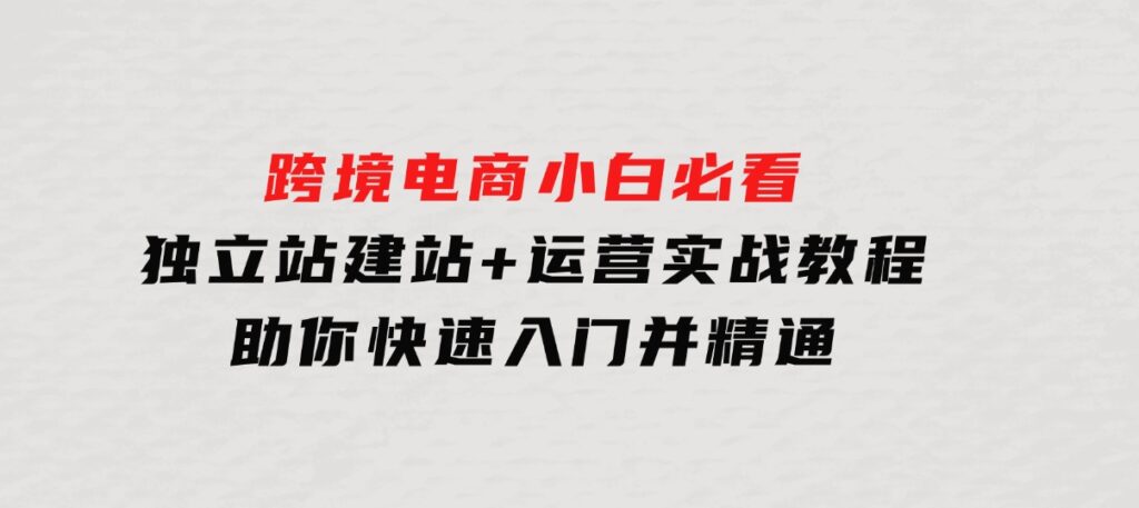 跨境电商小白必看！独立站建站+运营实战教程，助你快速入门并精通-财仔梦想资源网