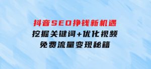 抖音SEO挣钱新机遇：挖掘关键词+优化视频，免费流量变现秘籍-财仔梦想资源网