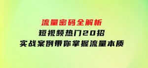 流量密码全解析：短视频热门20招，实战案例带你掌握流量本质-财仔梦想资源网