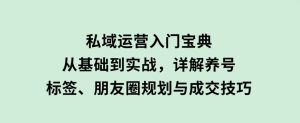 私域运营入门宝典：从基础到实战，详解养号、标签、朋友圈规划与成交技巧-财仔梦想资源网