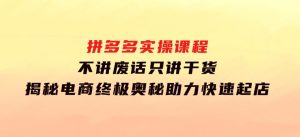 拼多多实操课程：不讲废话只讲干货,揭秘电商终极奥秘,助力快速起店-财仔梦想资源网
